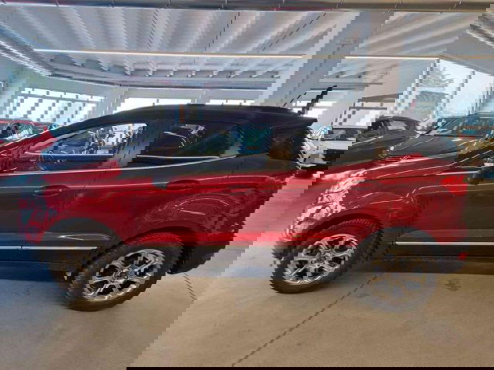 Ford EcoSport usata a Bologna (7)