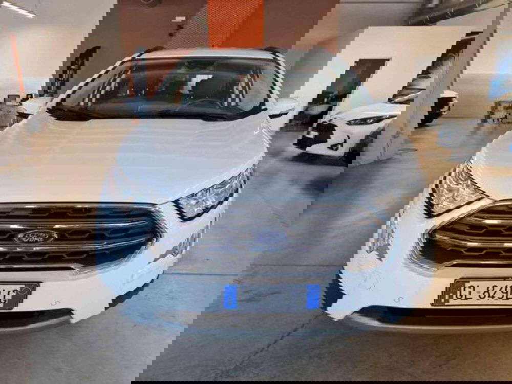 Ford EcoSport usata a Bologna (2)