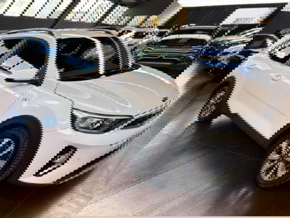 Kia Stonic usata a Pesaro-Urbino
