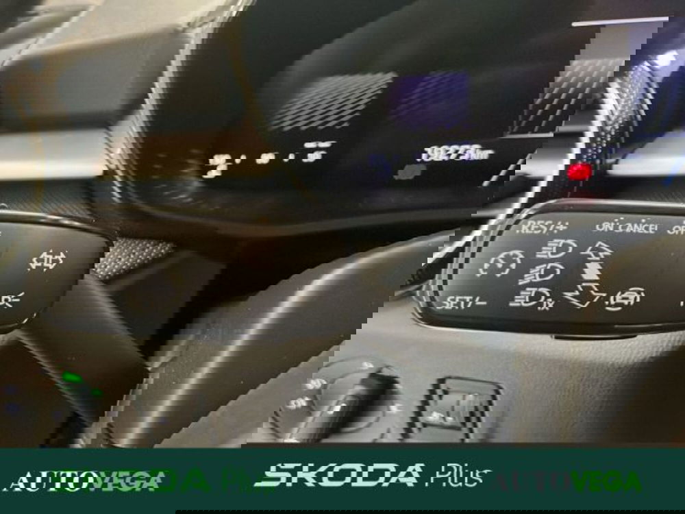 Skoda Fabia usata a Vicenza (15)