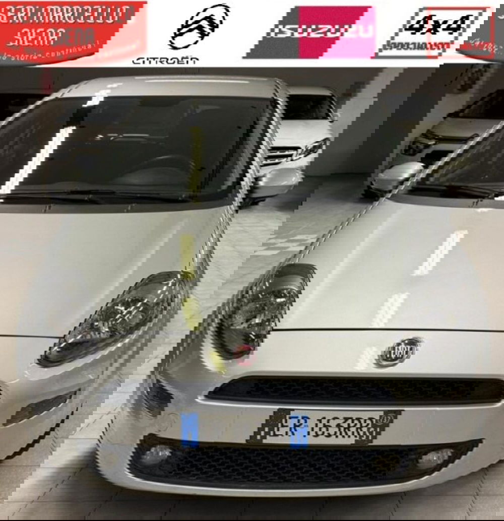 Fiat Punto usata a Siena