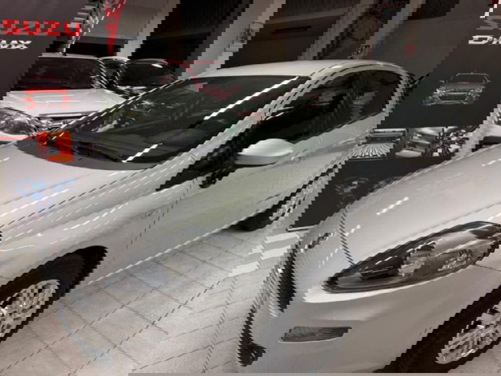 Fiat Punto usata a Siena (2)