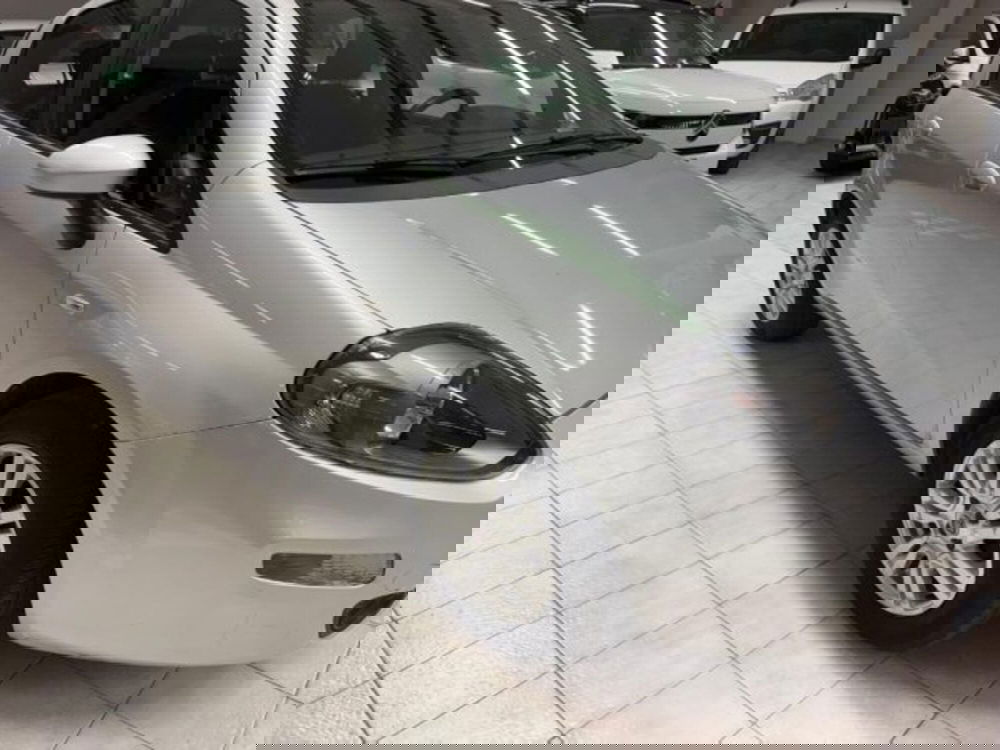 Fiat Punto usata a Siena (3)