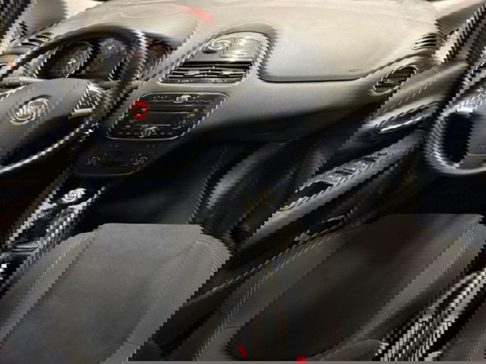 Fiat Punto usata a Siena (5)