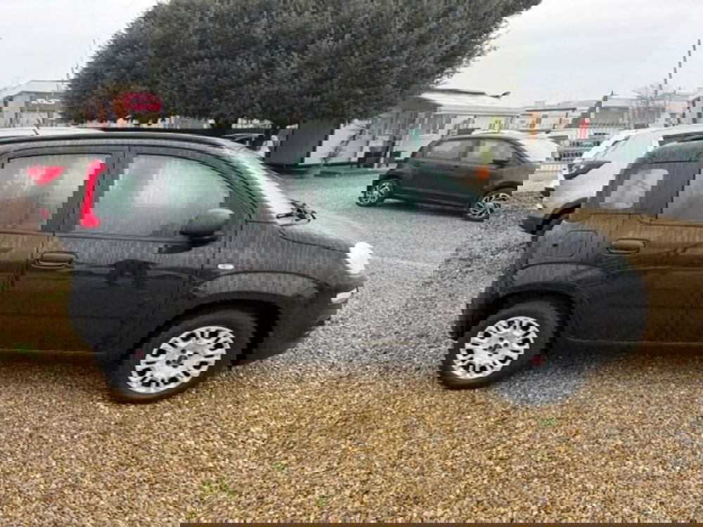 Fiat Panda usata a Prato (4)