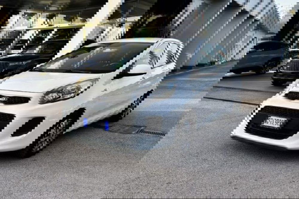 Kia Picanto usata a Latina (3)