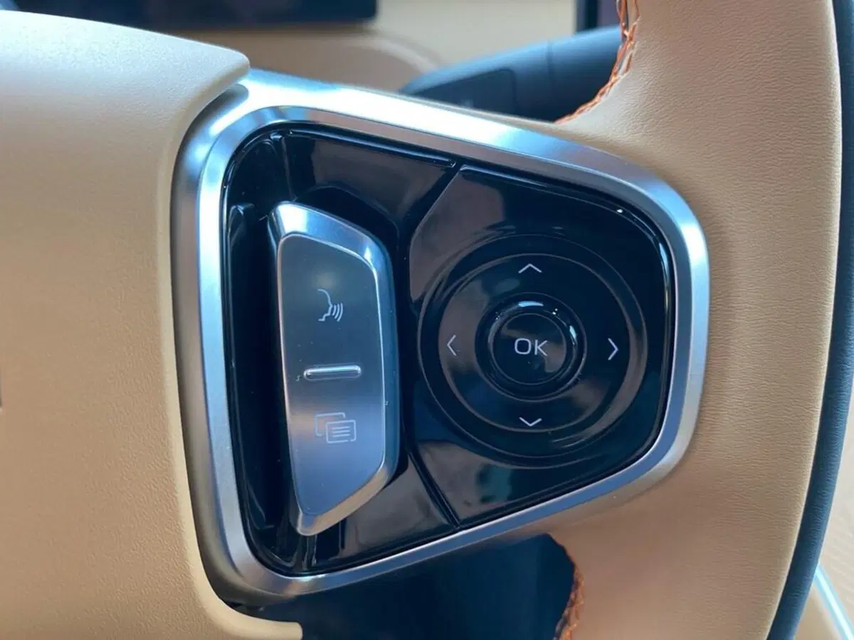Geely Starray nuova a Torino (11)