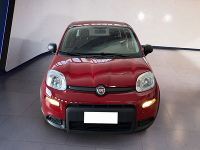 Fiat Panda 1.0 firefly hybrid s&amp;s 70cv del 2024 usata a Torino