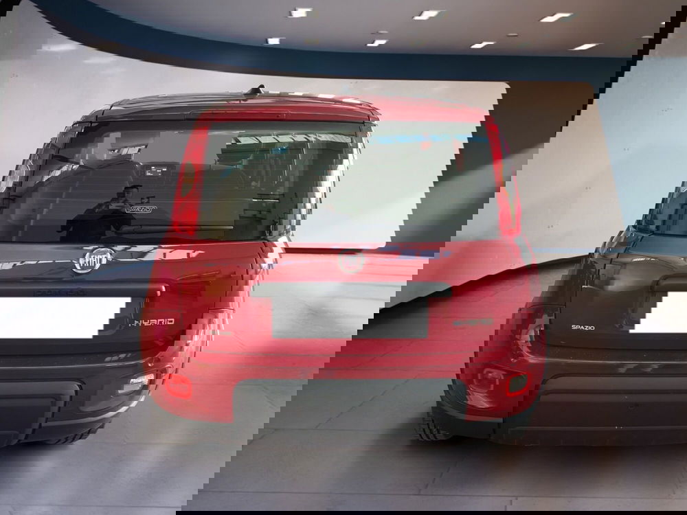 Fiat Panda usata a Torino (5)