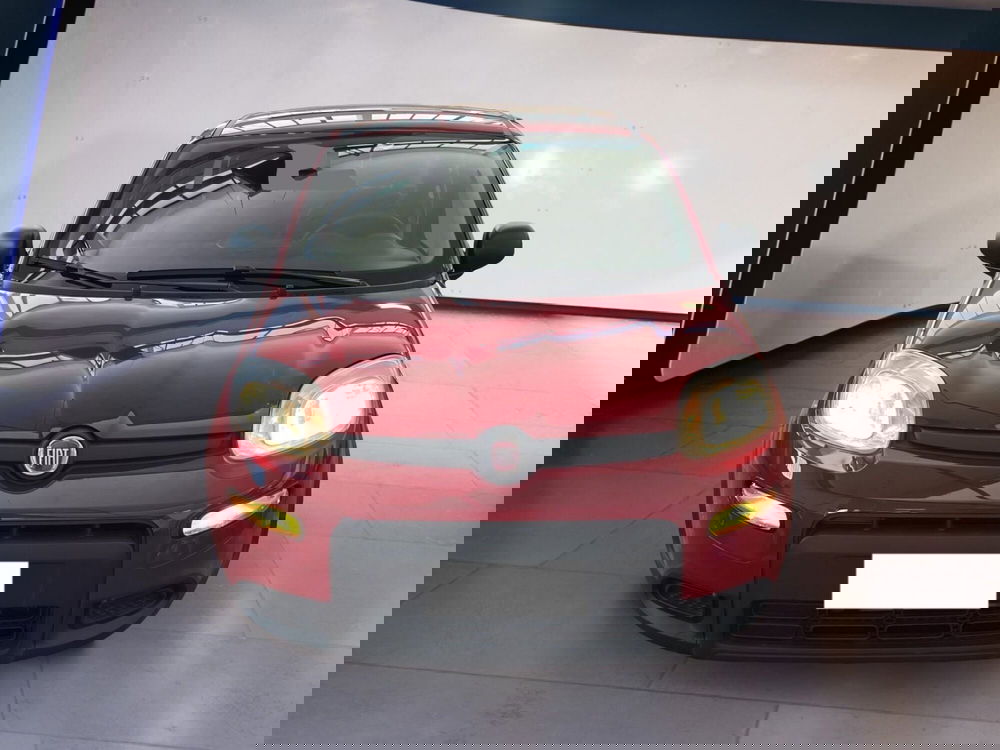 Fiat Panda usata a Torino