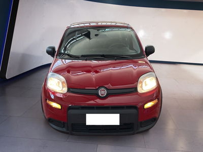 Fiat Panda 1.0 firefly hybrid s&amp;s 70cv del 2024 usata a Torino