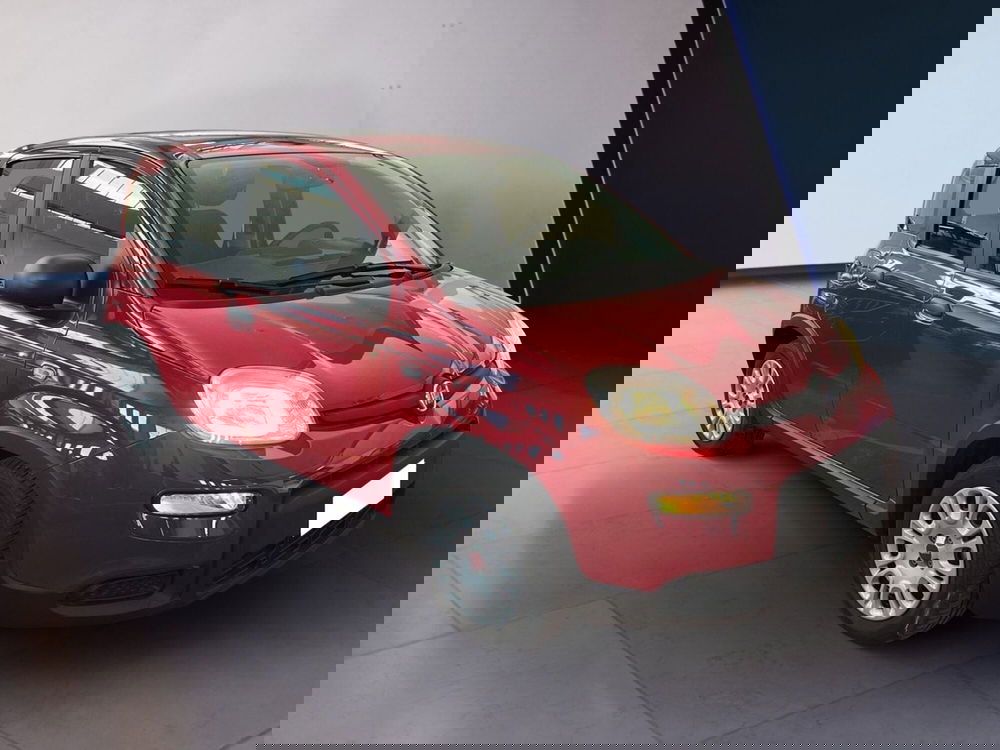 Fiat Panda usata a Torino (2)