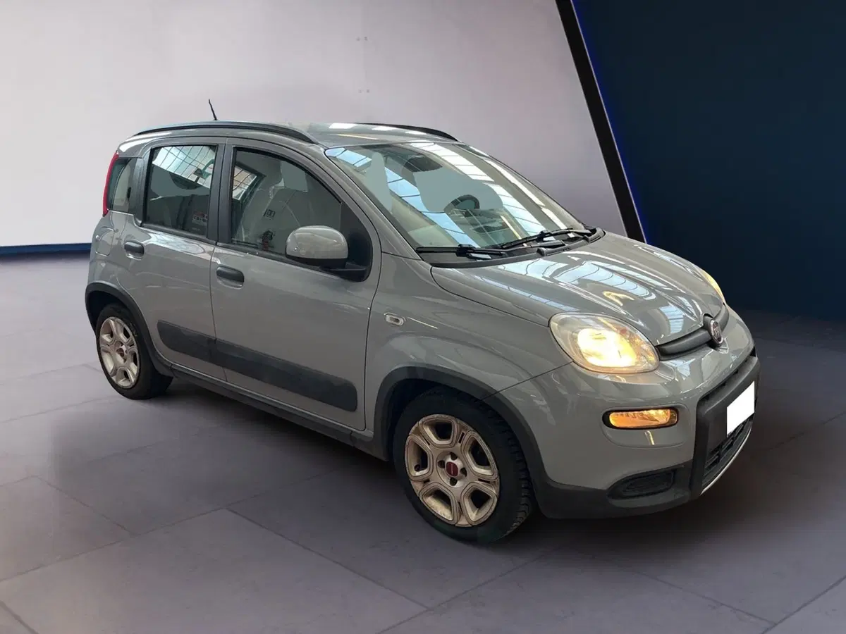 Fiat Panda usata a Torino (3)