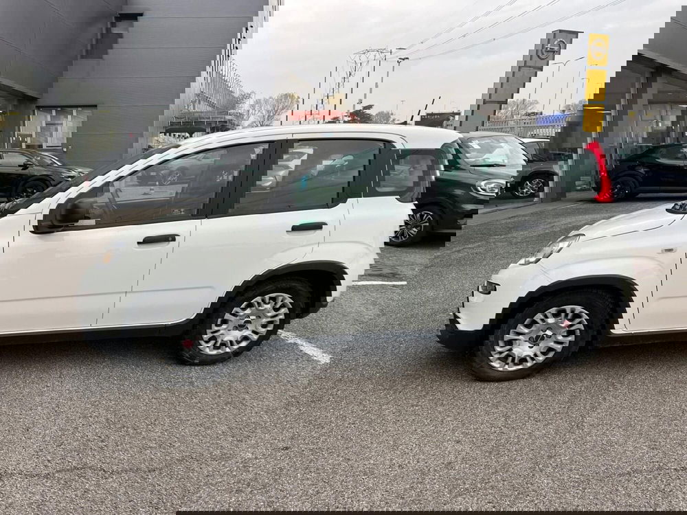 Fiat Panda usata a Milano (4)