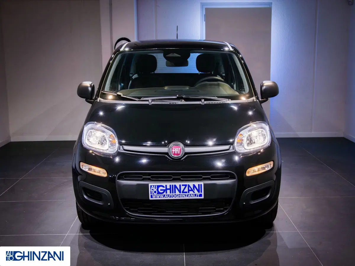 Fiat Panda nuova a Bergamo (4)