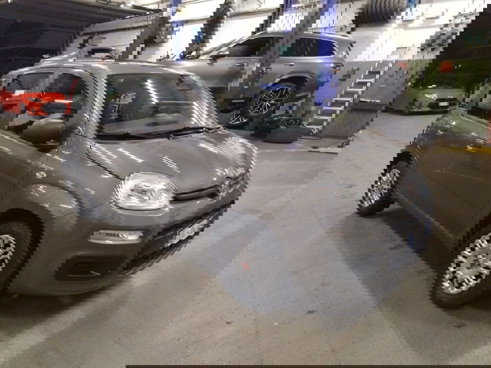 Fiat Panda usata a Pescara (4)
