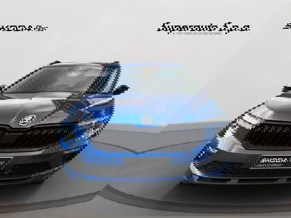 Skoda Kamiq usata a Padova (2)