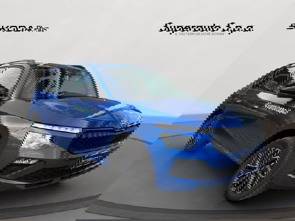 Skoda Kamiq usata a Padova (3)