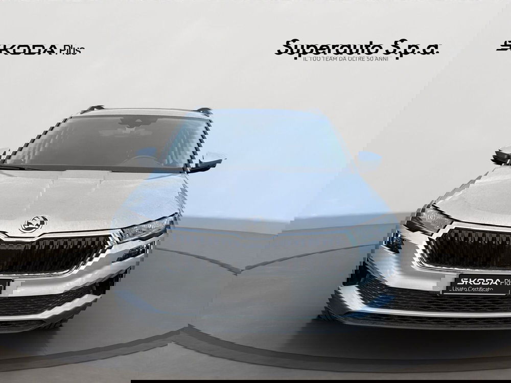 Skoda Karoq usata a Padova (2)