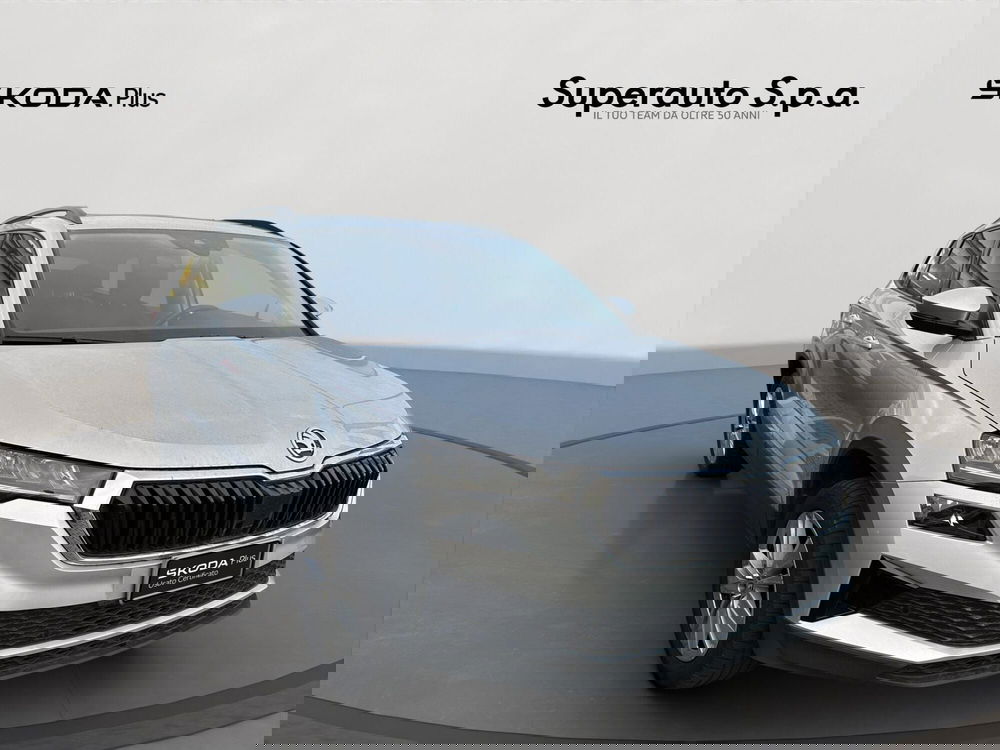 Skoda Karoq usata a Padova (3)