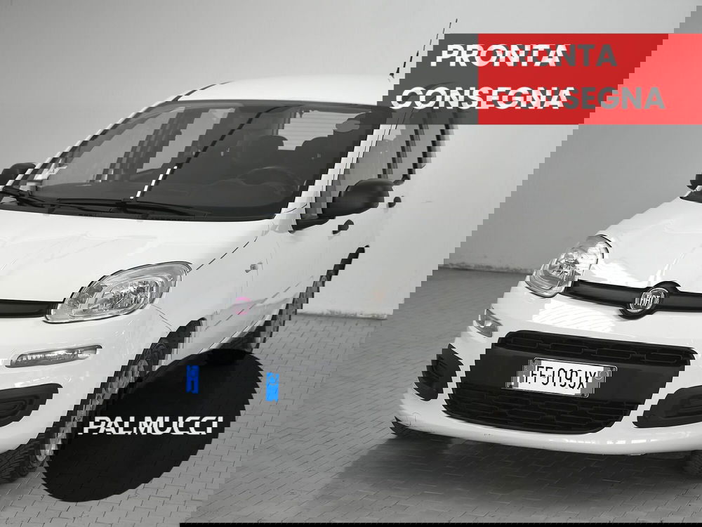 Fiat Panda usata a Prato