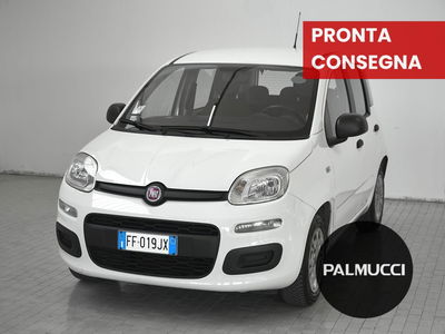 Fiat Panda 1.2 Easy del 2016 usata a Prato
