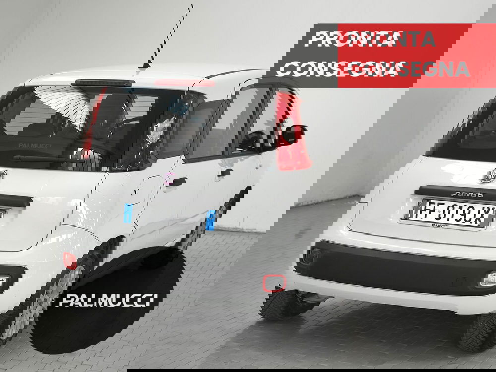 Fiat Panda usata a Prato (2)