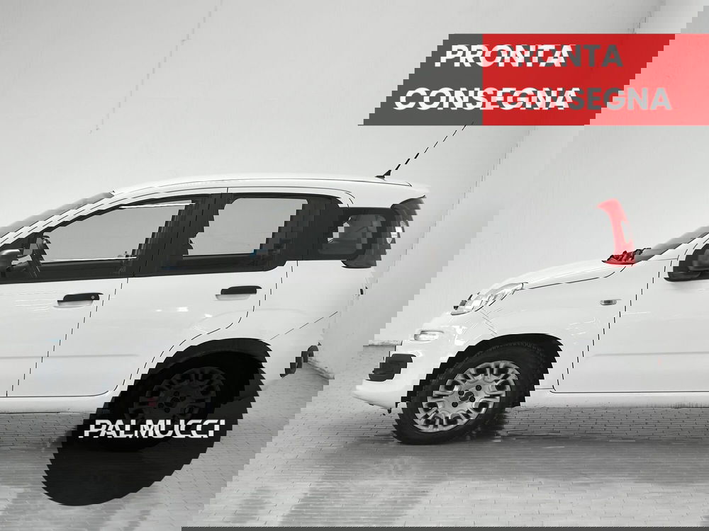 Fiat Panda usata a Prato (3)