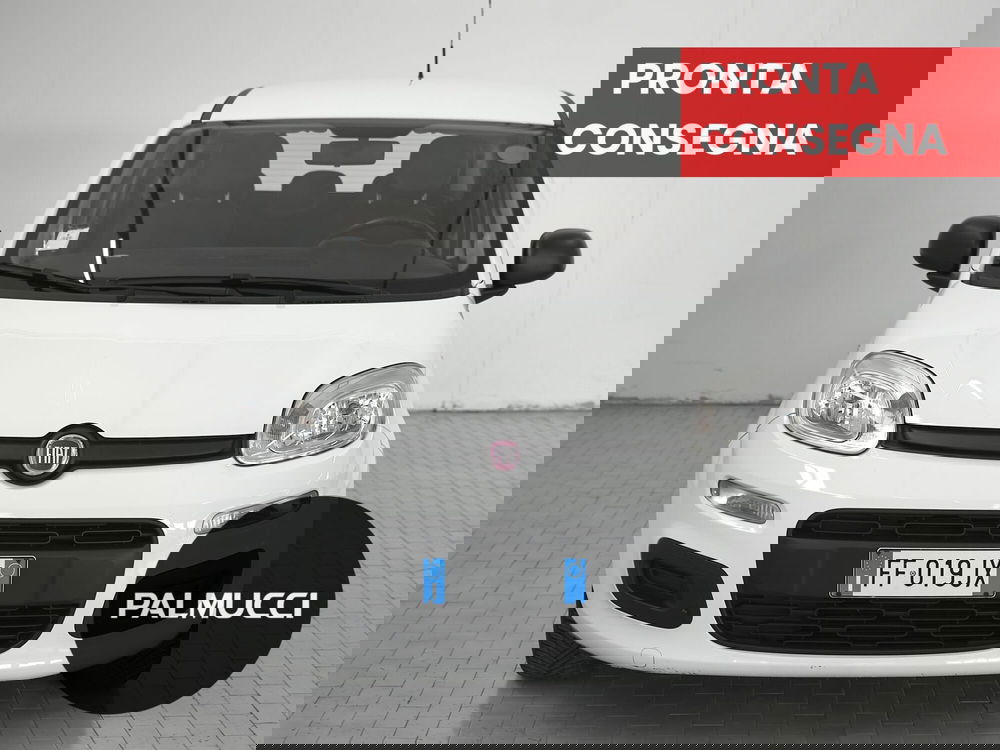 Fiat Panda usata a Prato (4)