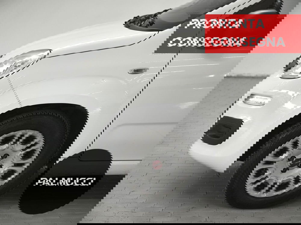 Fiat Panda usata a Prato (6)