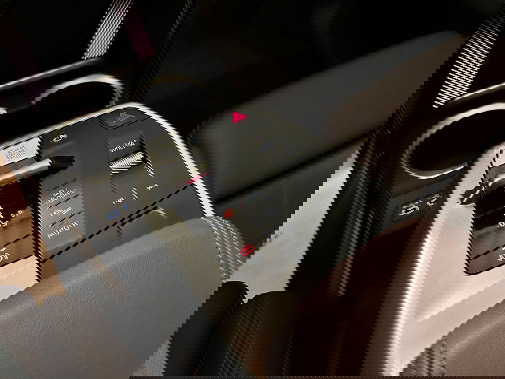 BMW X1 usata a Cuneo (11)