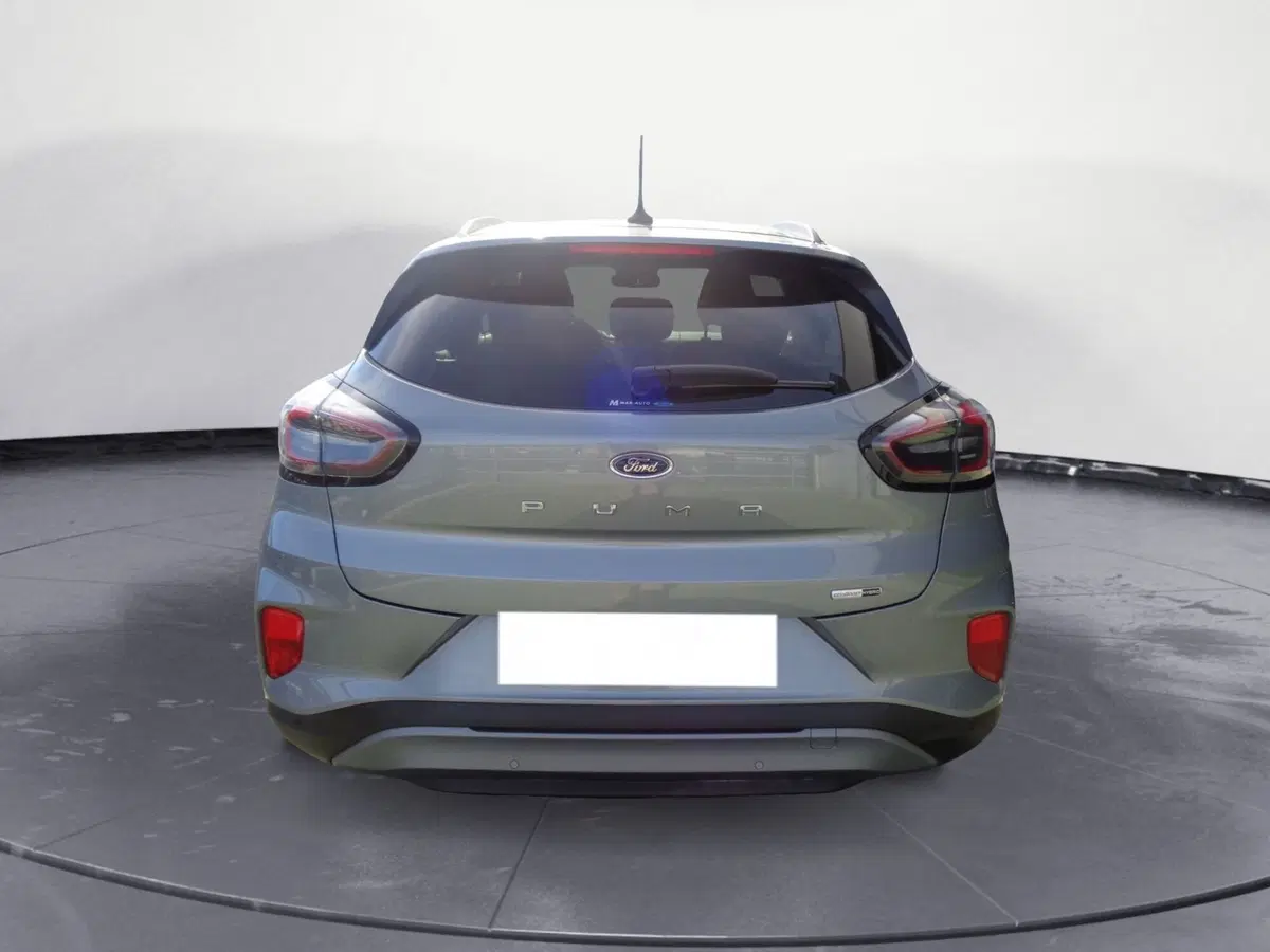 Ford Puma usata a Belluno (18)