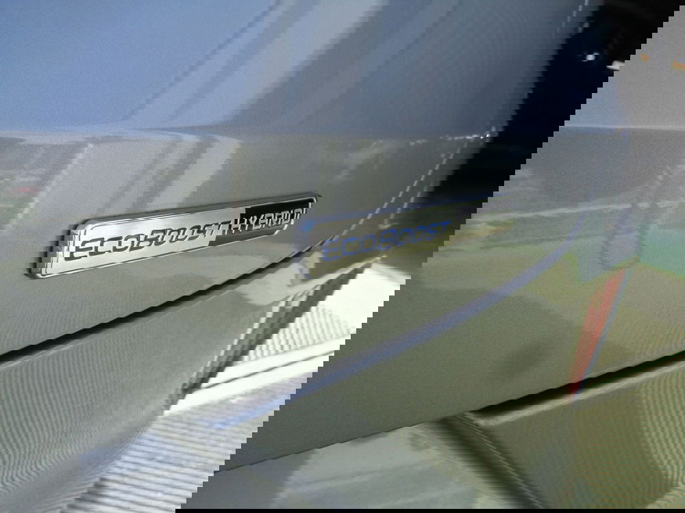 Ford Puma usata a Belluno (19)