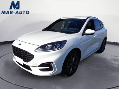 Ford Kuga 1.5 EcoBlue 120 CV 2WD ST-Line del 2021 usata a Ponte nelle Alpi