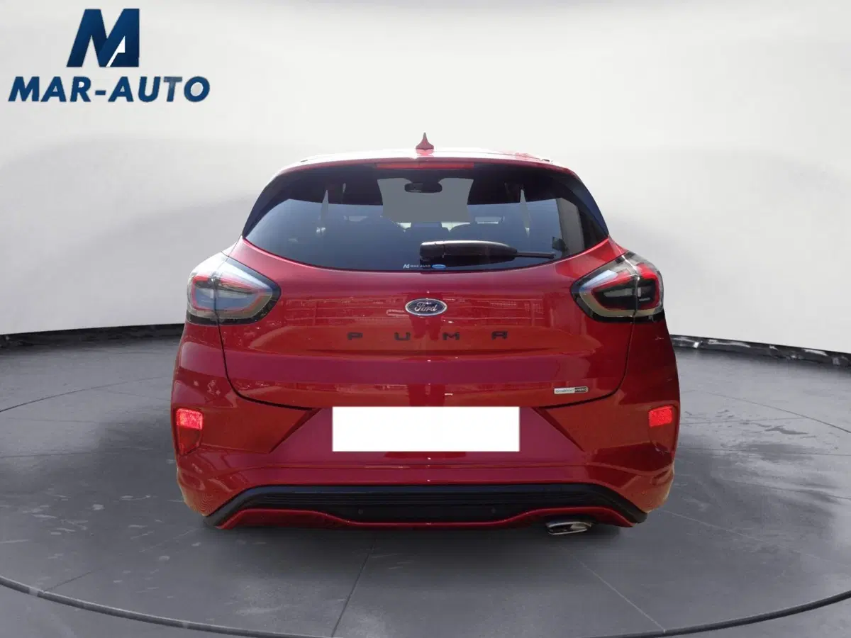 Ford Puma usata a Belluno (18)