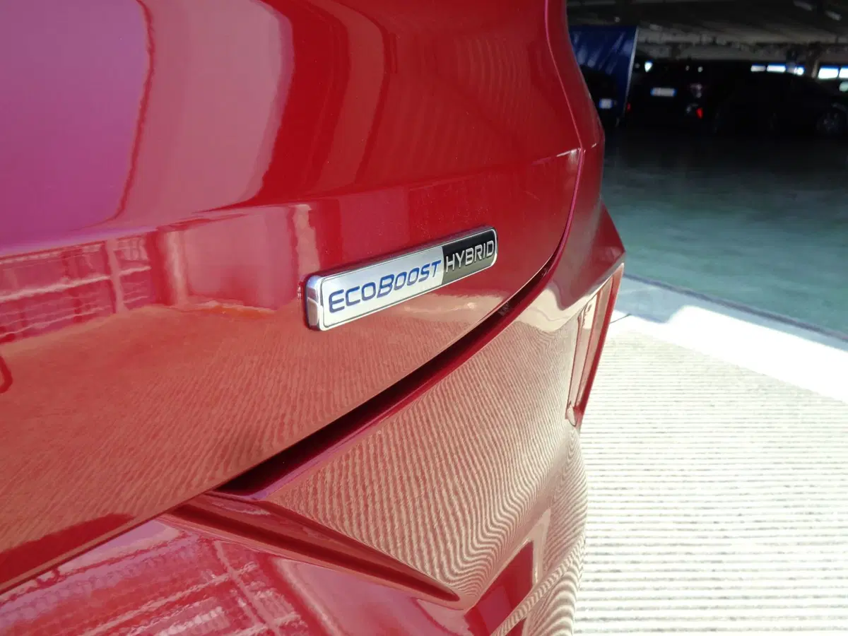 Ford Puma usata a Belluno (19)