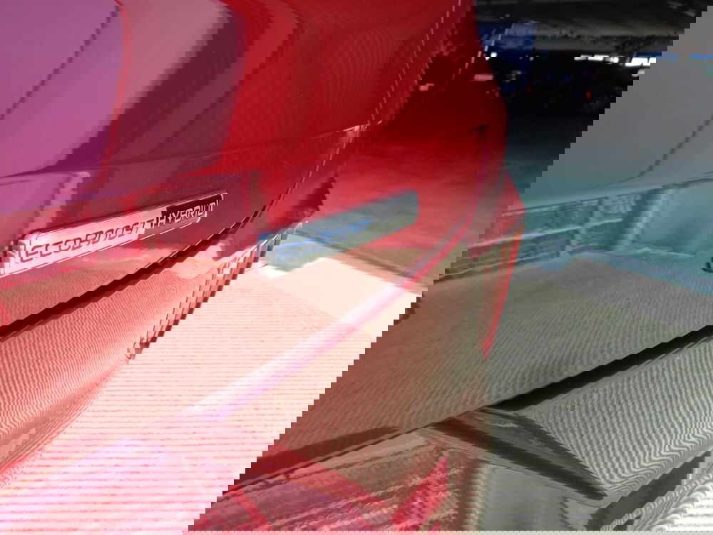 Ford Puma usata a Belluno (19)