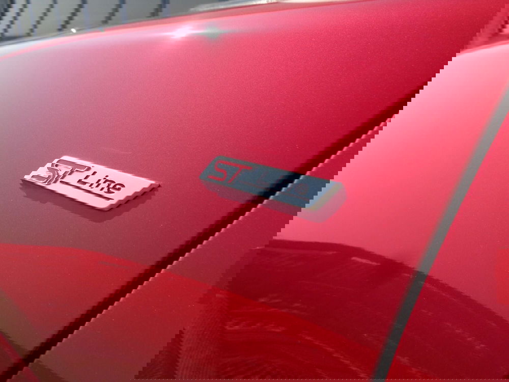 Ford Puma usata a Belluno (7)