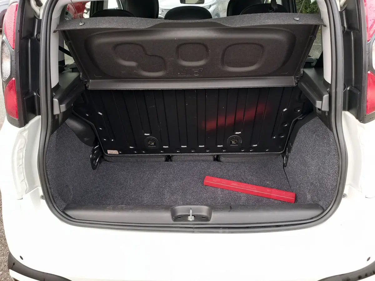 Fiat Panda Cross usata a Lucca (11)