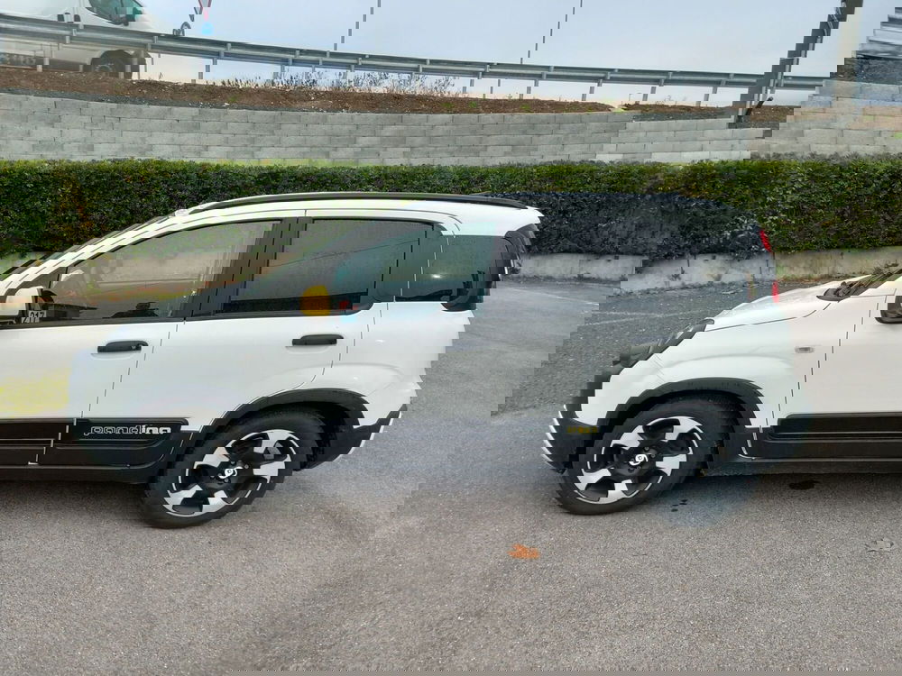 Fiat Panda Cross usata a Lucca (3)