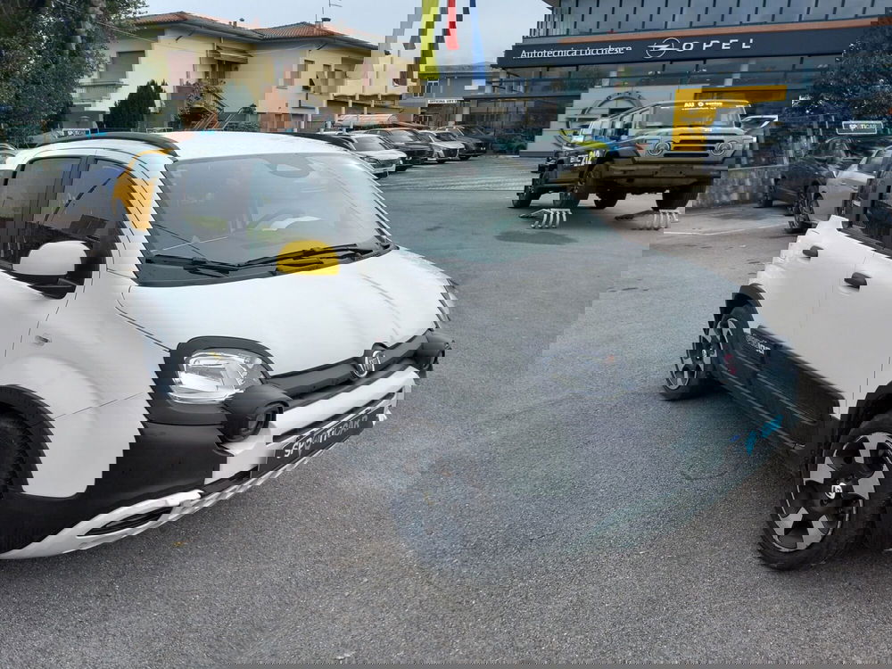 Fiat Panda Cross usata a Lucca (8)