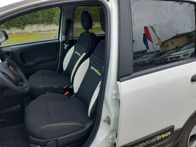 Fiat Panda Cross usata a Lucca (9)