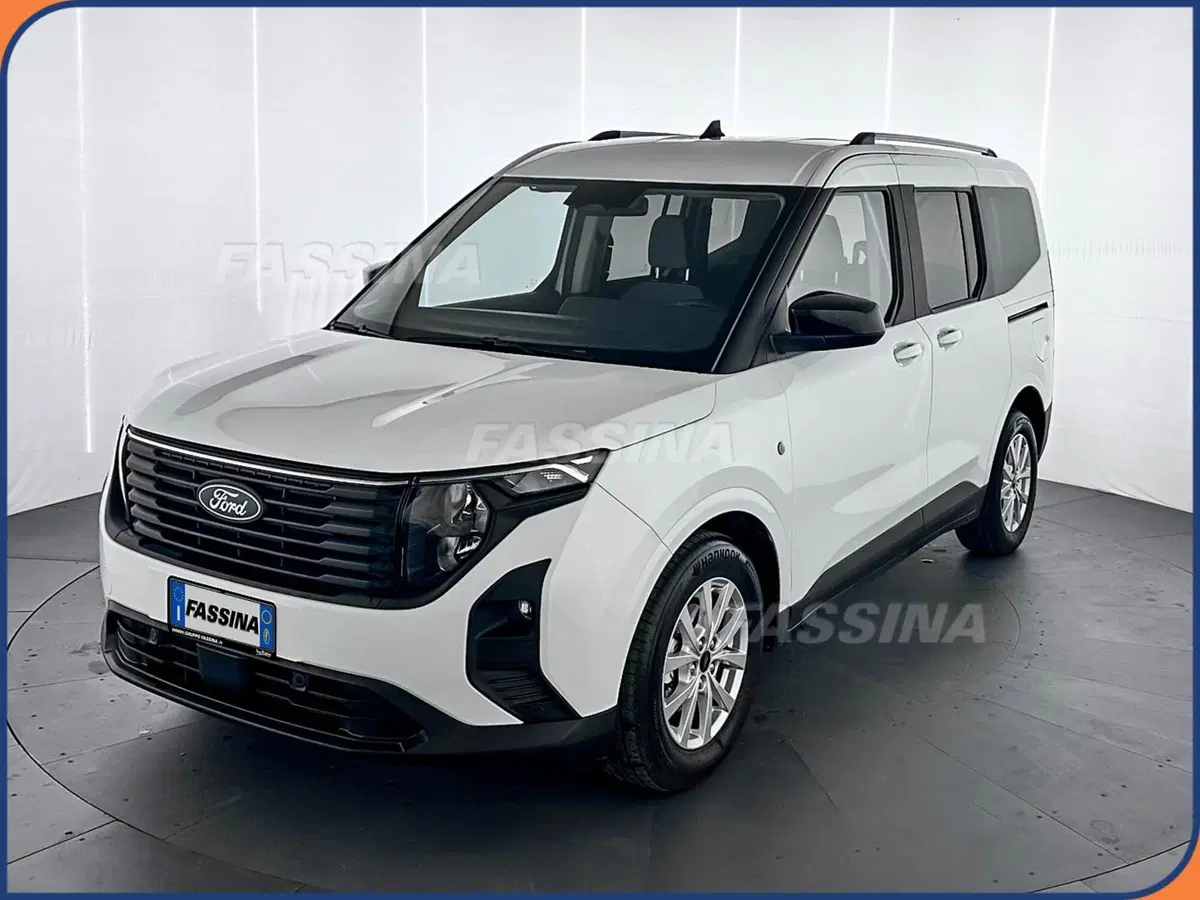 Ford Tourneo Courier usata a Milano (3)
