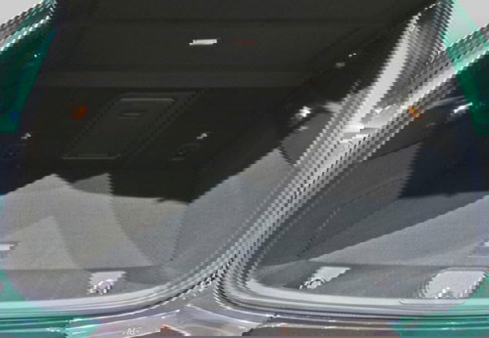 Alfa Romeo Tonale usata a Cosenza (18)