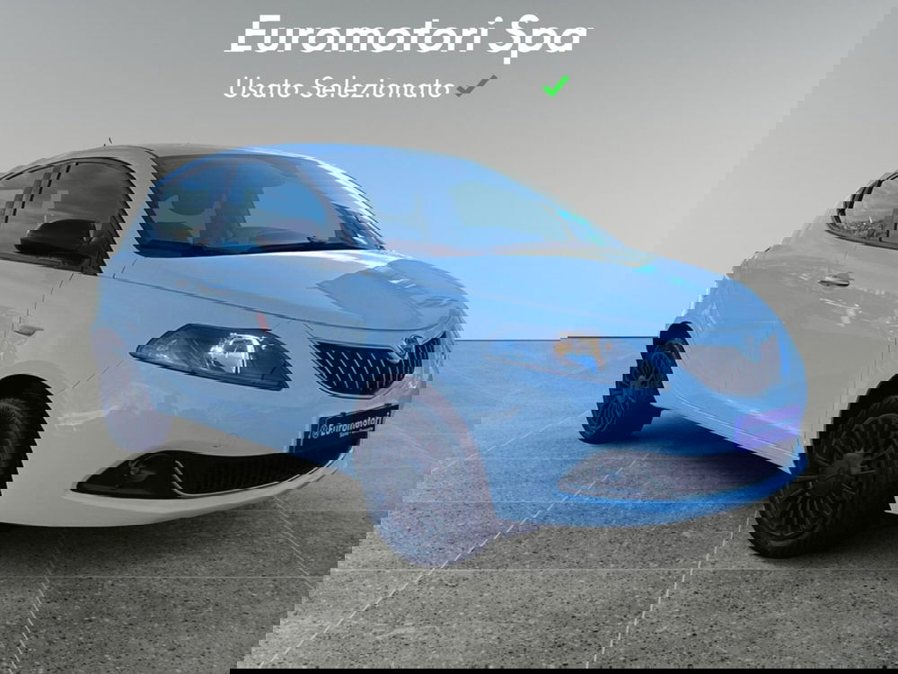 Lancia Ypsilon usata a Grosseto (7)