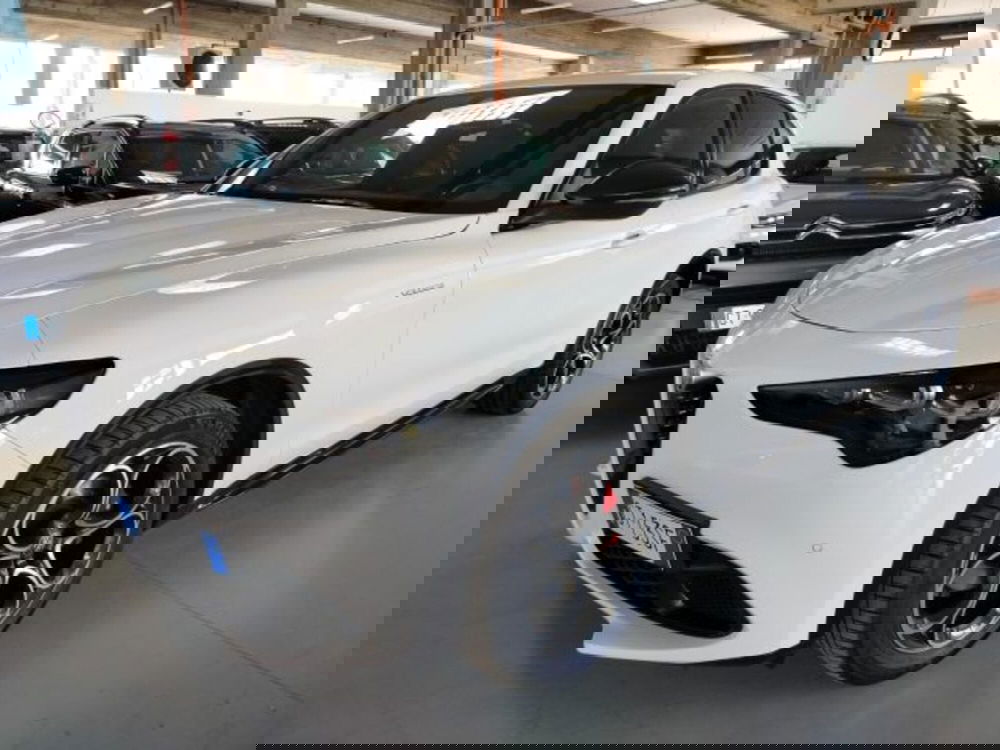 Alfa Romeo Stelvio usata a Forlì-Cesena (3)