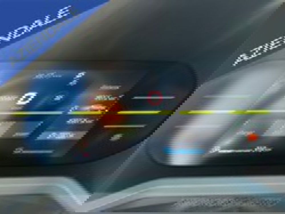 Dacia Duster Van nuova a Udine (15)