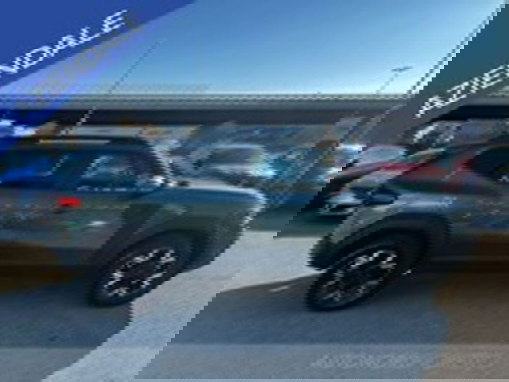 Dacia Duster Van nuova a Udine (4)