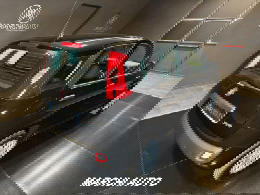 Fiat Panda nuova a Perugia (4)