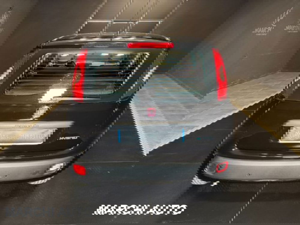 Fiat Panda nuova a Perugia (5)